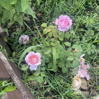 Продается Дом, 20 м²