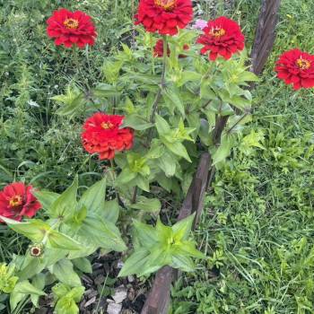 Продается Дом, 20 м²