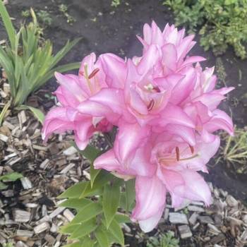 Продается Дом, 20 м²