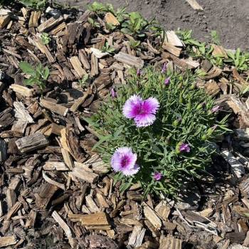 Продается Дом, 20 м²