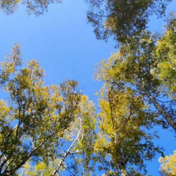 Продается Участок, 1200 м²