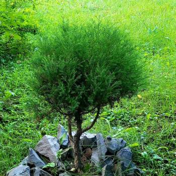 Продается Участок, 490 м²