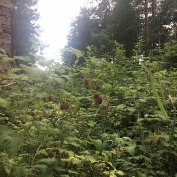 Продается Участок, 2000 м²