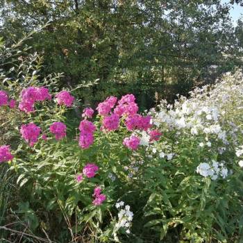 Продается Дом, 54 м²