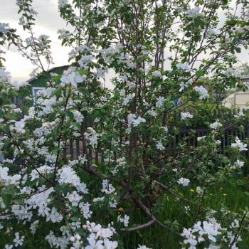 Продается Участок, 500 м²