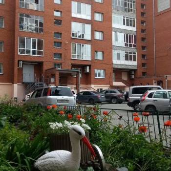 Сдается 2-х комнатная квартира, 53 м²