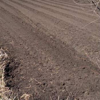 Продается Участок, 600 м²