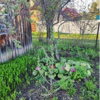 Продается Дом, 10 м²