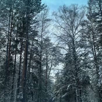 Продается Участок, 1000 м²