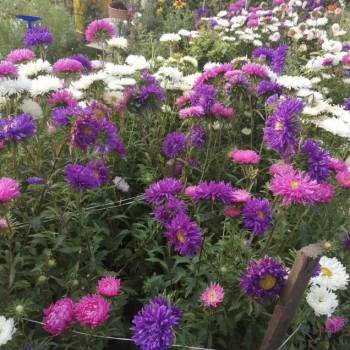 Продается Дом, 18 м²