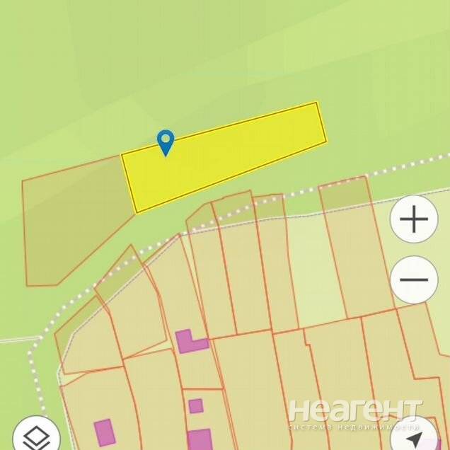 Фотография №2