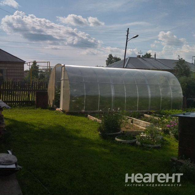 Фотография №4