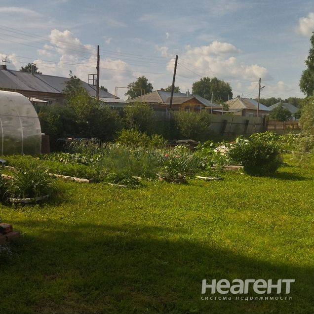 Фотография №5