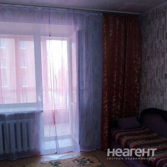 Продажа студии, переулок Карповский, владелец