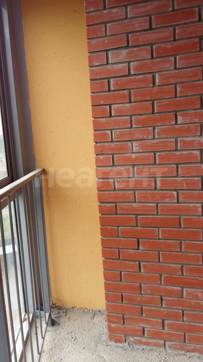 Фотография №12