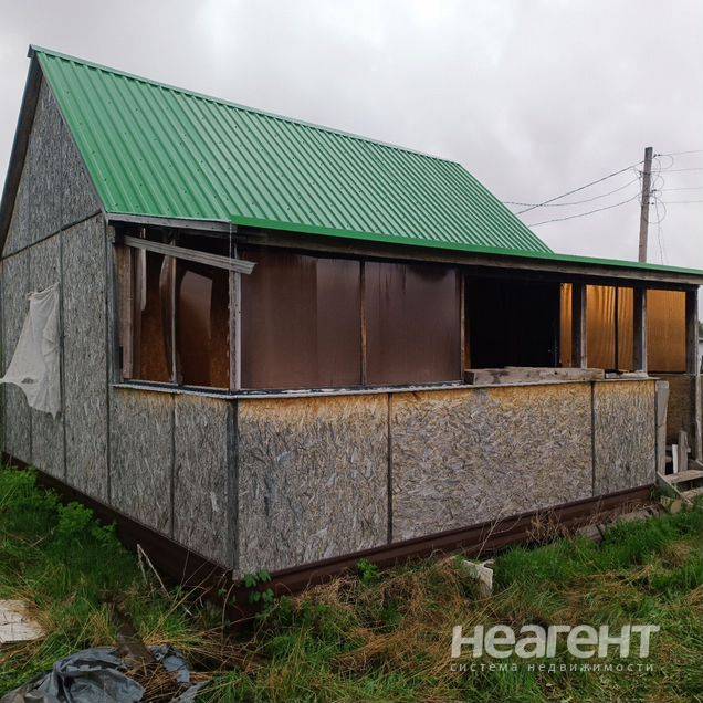 Фотография №3