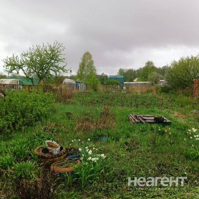 Фотография №4