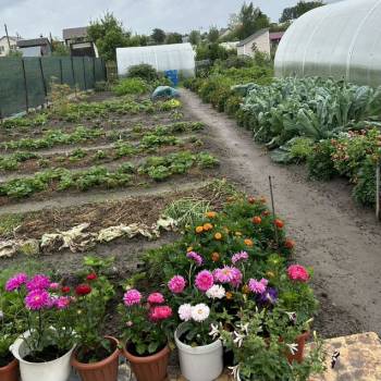 Продается Участок, 330 м²