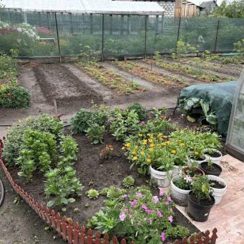 Продается Участок, 330 м²