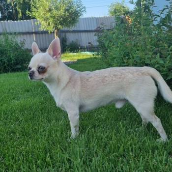 Продается Дом, 70 м²