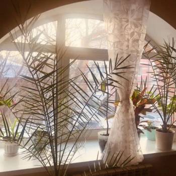 Продается 1-комнатная квартира, 66 м²