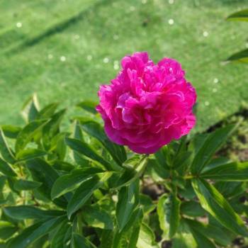 Продается Участок, 600 м²