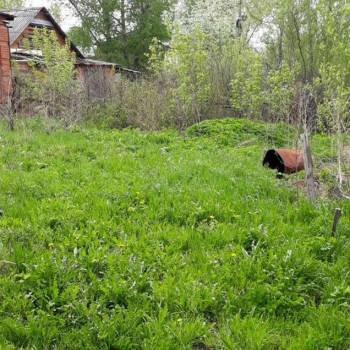 Продается Участок, 600 м²