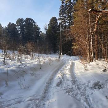 Продается Участок, 1500 м²