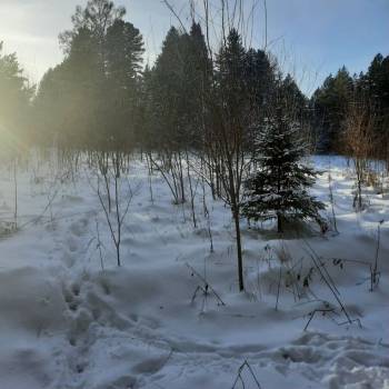 Продается Участок, 1500 м²