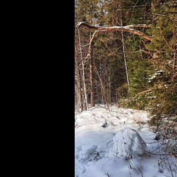 Продается Участок, 1500 м²