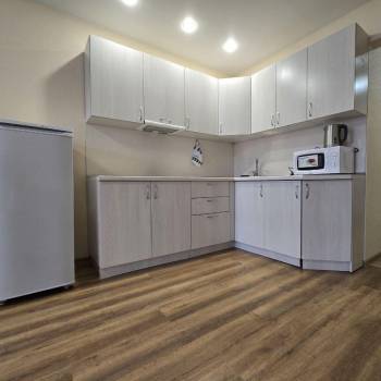 Сдается 1-комнатная квартира, 29,5 м²