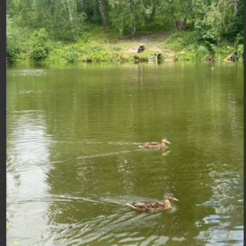 Продается Участок, 1000 м²