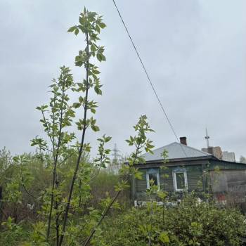 Продается Дом, 36 м²