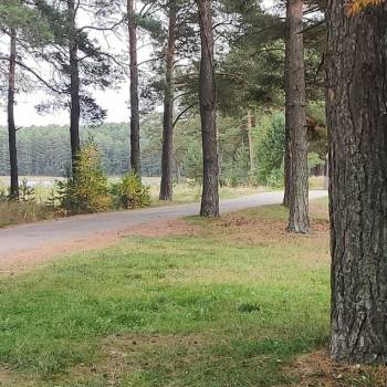 Продается Участок, 580 м²