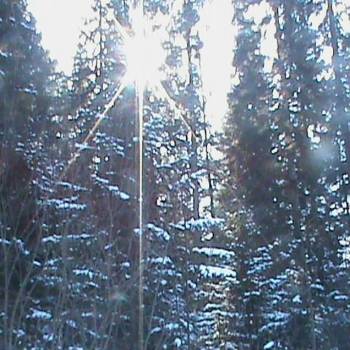 Продается Участок, 600 м²