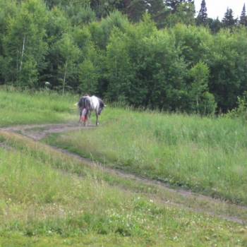 Продается Участок, 600 м²