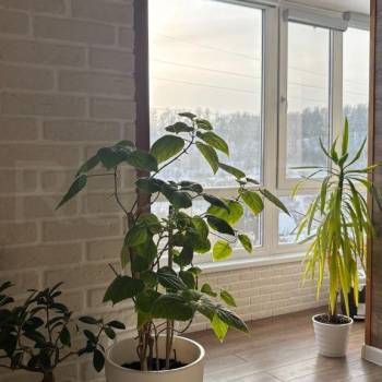 Продается 1-комнатная квартира, 51 м²
