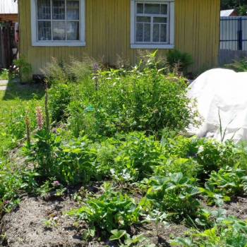 Продается Участок, 300 м²