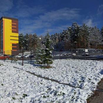 Сдается 2-х комнатная квартира, 39 м²