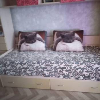 Сдается 1-комнатная квартира, 33 м²