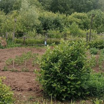 Продается Участок, 780 м²