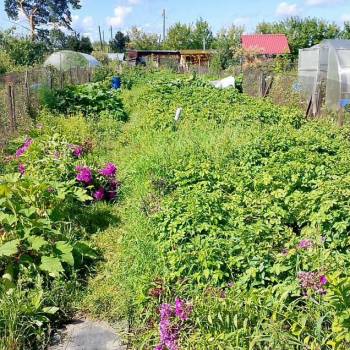 Продается Участок, 390 м²