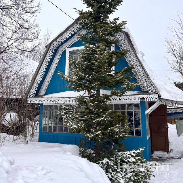 Фотография №2