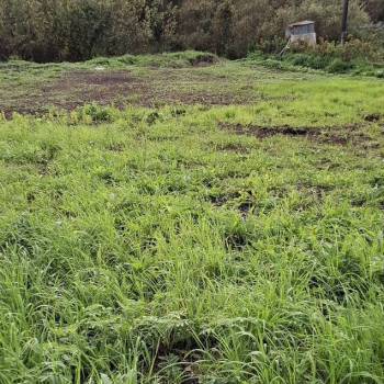 Продается Участок, 790 м²