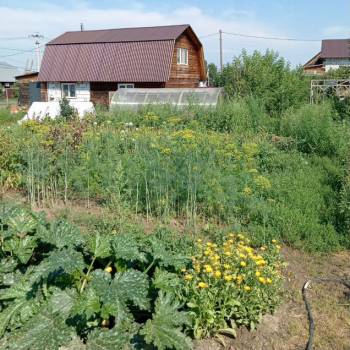 Продается Участок, 800 м²