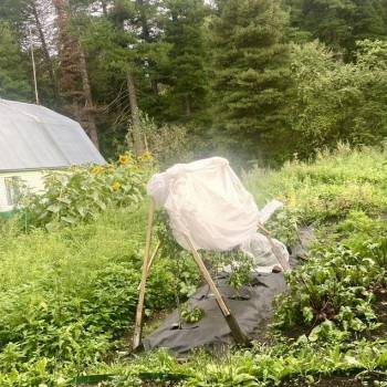 Продается Участок, 830 м²