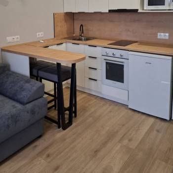 Сдается 1-комнатная квартира, 22,5 м²