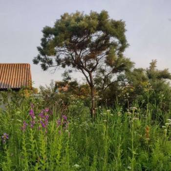 Продается Участок, 510 м²