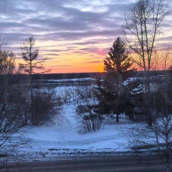 Сдается Многокомнатная квартира, 65 м²