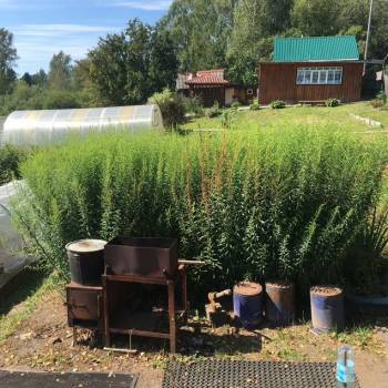 Продается Дом, 40 м²